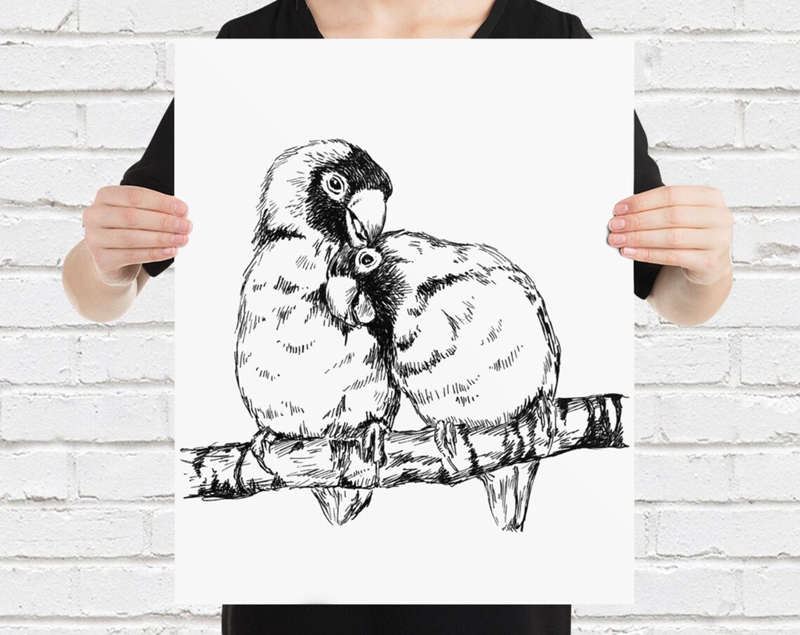 Lovebird Parrot Couple Ink Sketch Black White Tender Bird Print - Image 4