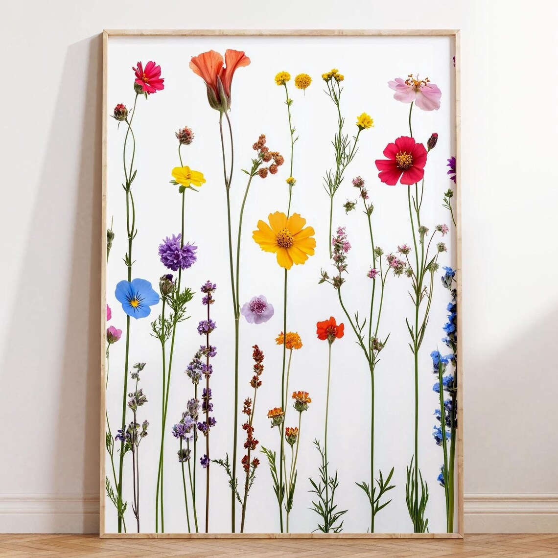 Colorful Pressed Wildflowers Botanical White Background Art Poster
