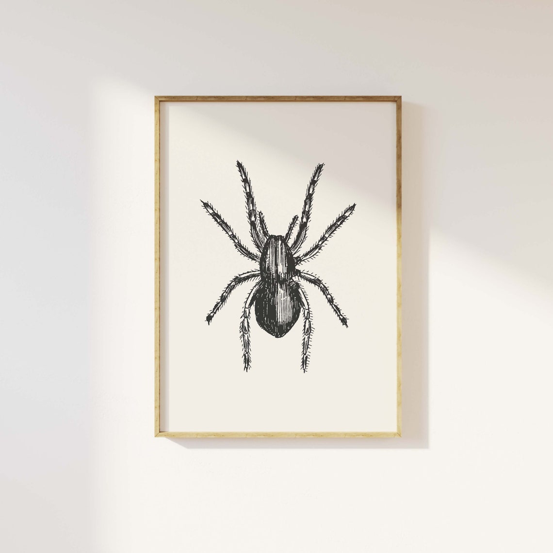 Vintage Spider Engraving Large Insect Illustration Halloween Poster - Image 4