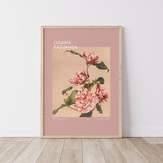 Camellias Ogawa Kazumasa Print Art Pink Japanese Photography Art Poster Cute Trendy Wall Art