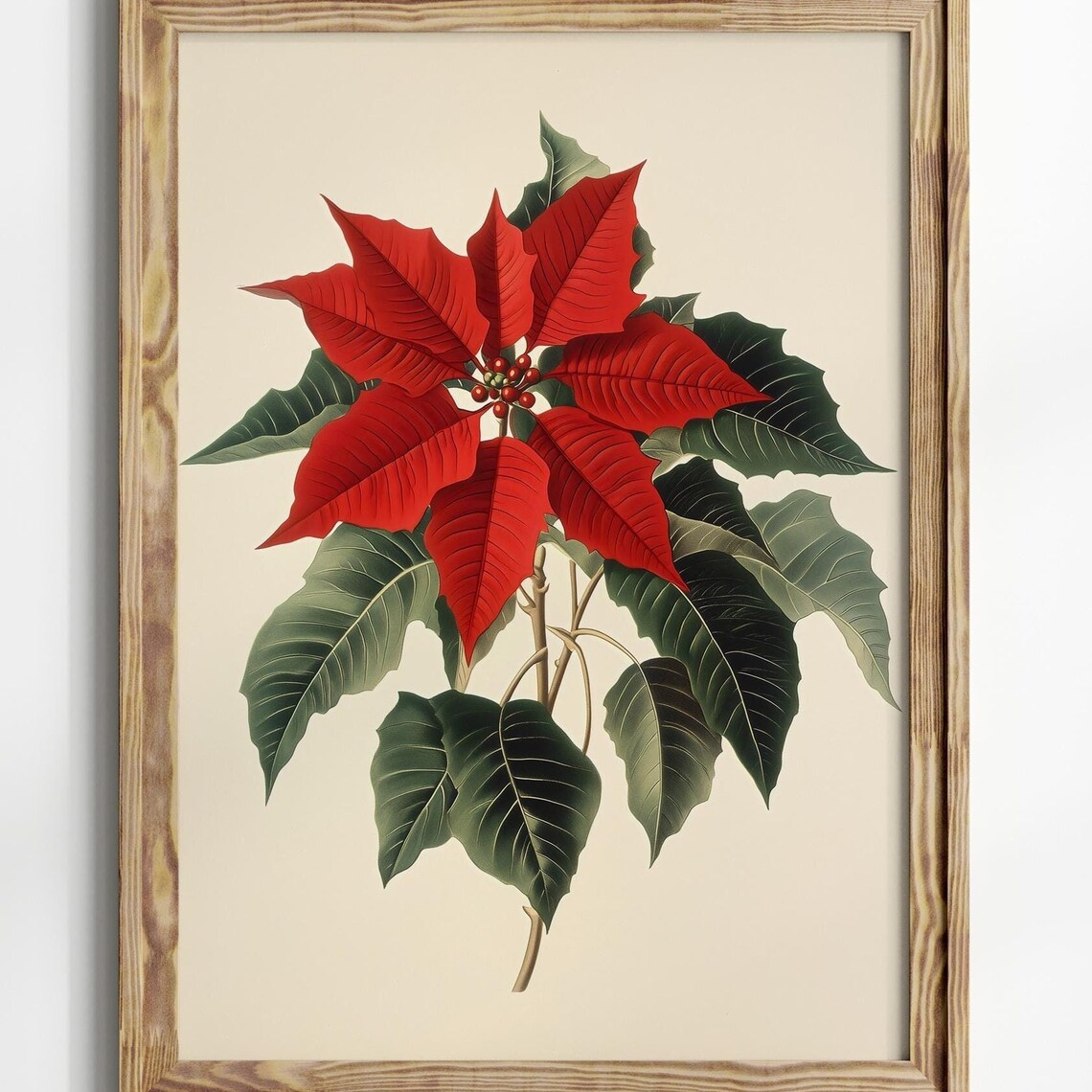 Vintage Red Poinsettia Christmas Holiday Botanical Art Print - Image 7