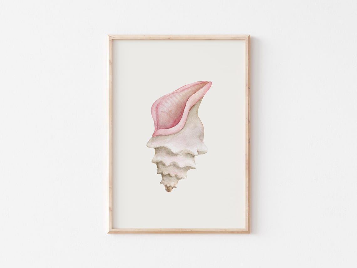 Blush Pink Seashell Soft Watercolor Feminine Coastal Ocean Art Poster - Image 3