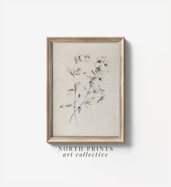 Minimalist Botanical Sketch Art, Neutral Country Decor