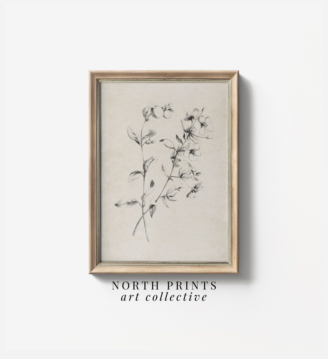 Minimalist Botanical Sketch Art, Neutral Country Decor