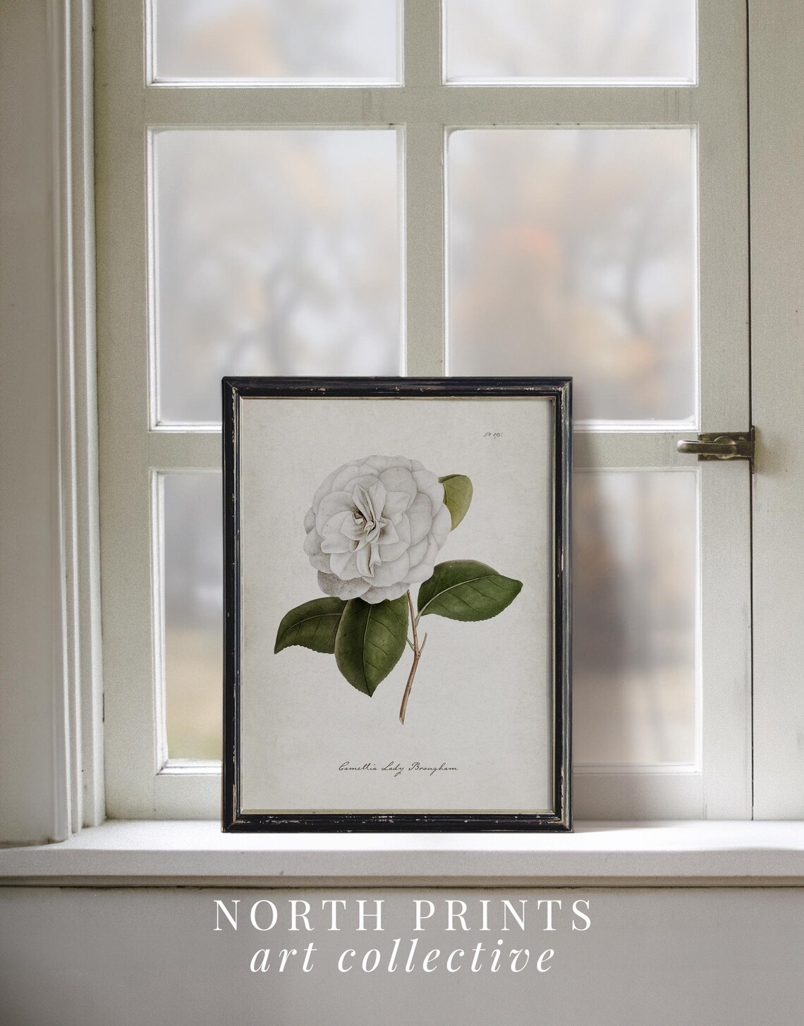Cottagecore Botanical Flower Art Print, Bedroom Decor - Image 2