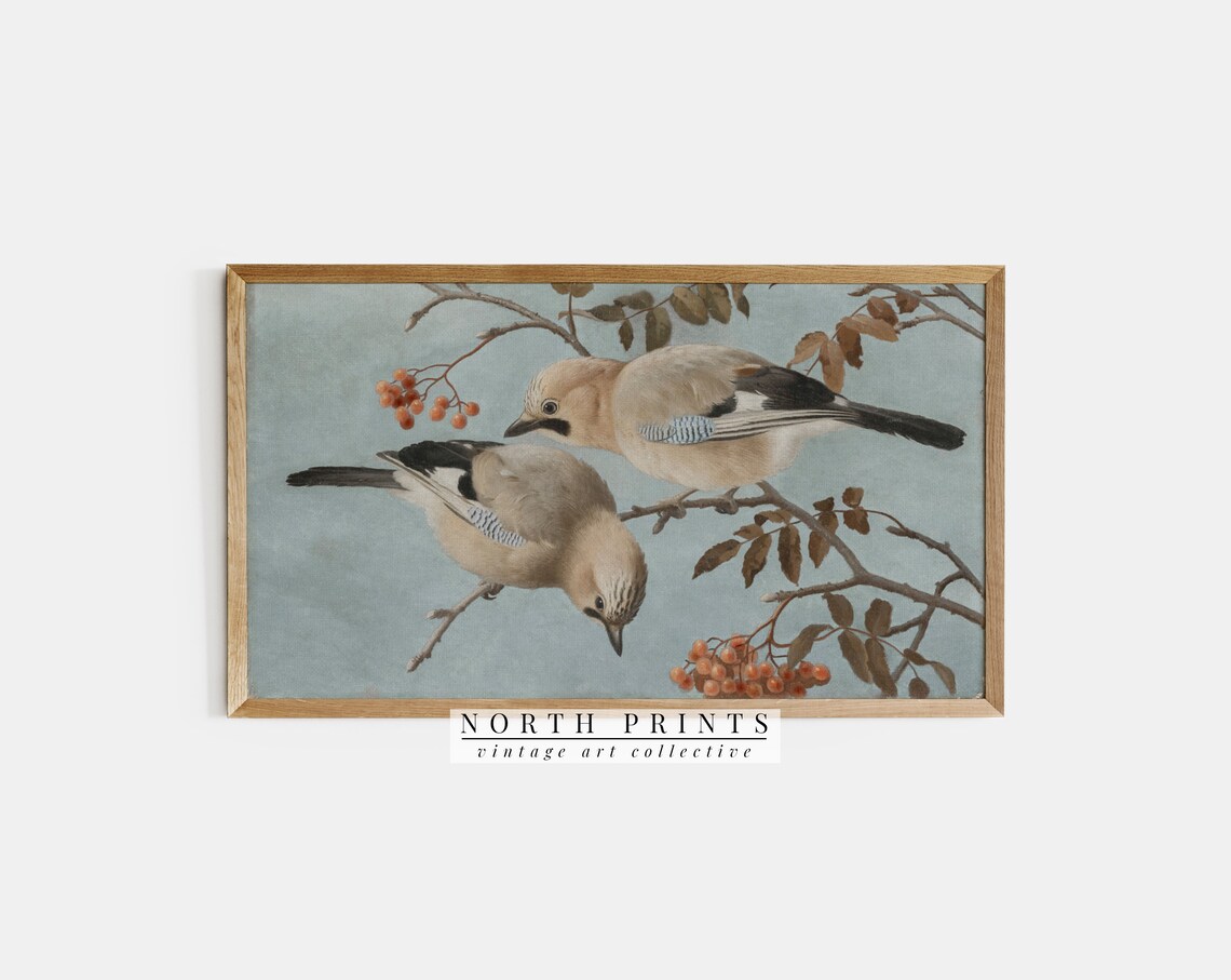 Vintage Bird Painting, Soft Blue Art Print
