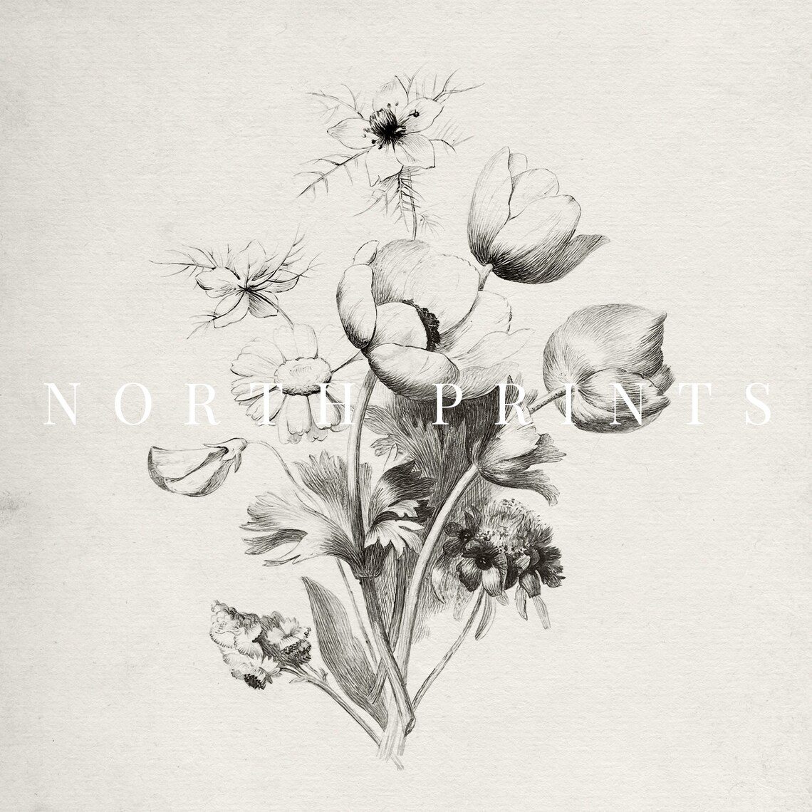 Antique Neutral Flower Sketch, Farmhouse Floral Art Print - Image 2