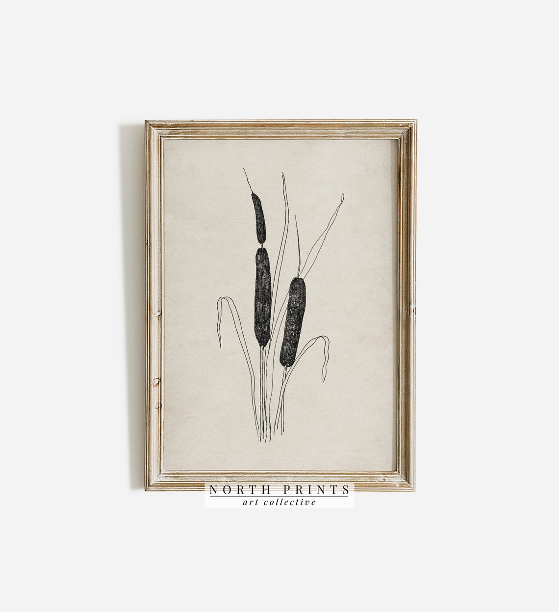 Minimalist Cattail Botanical Line Sketch Vintage Floral Poster - Image 3
