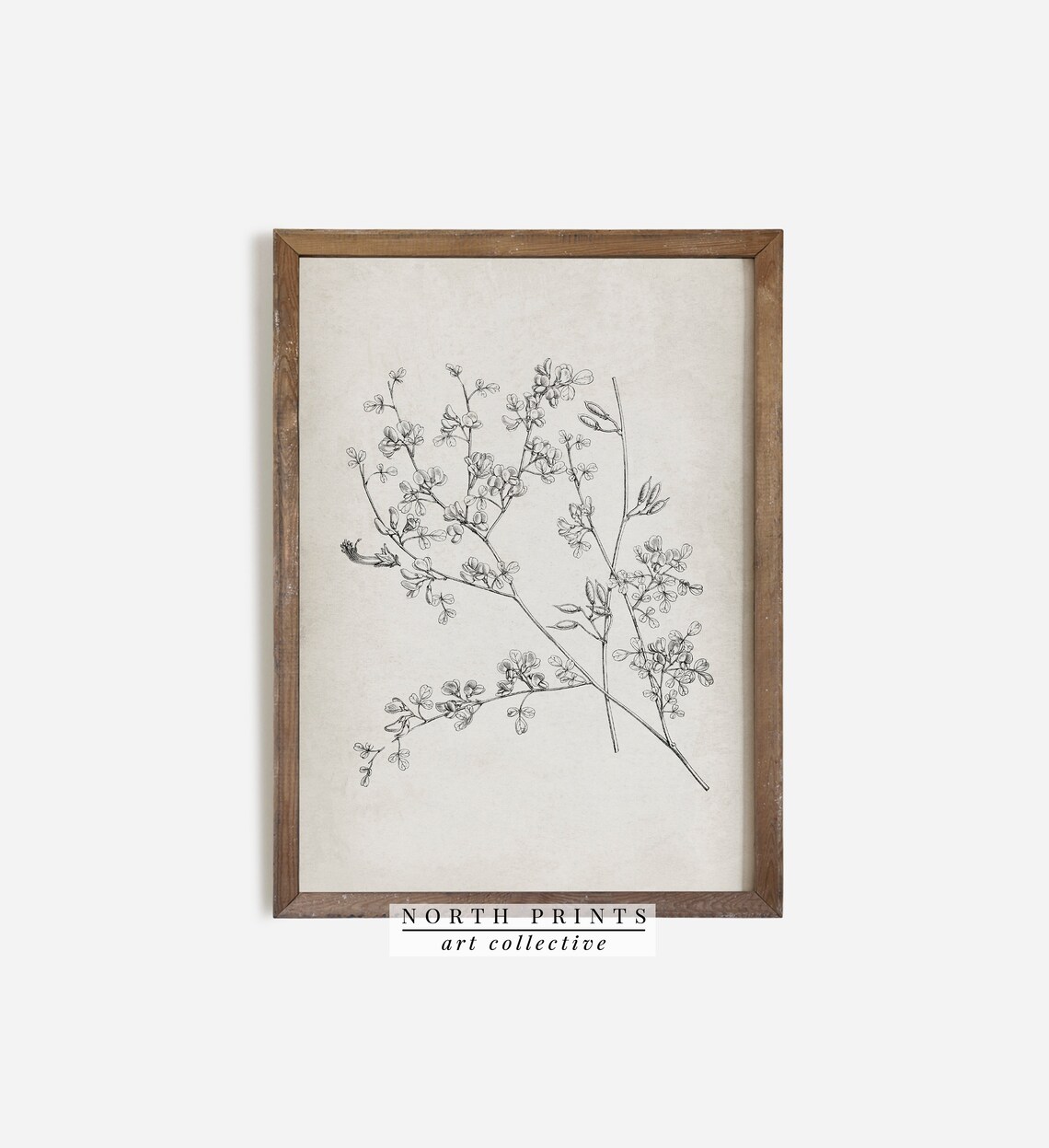 Antique Botanical Ink Drawing Flowering Branch Cream Vintage Poster - Image 3