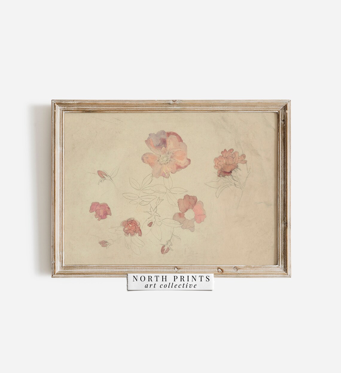 Antique Botanical Pink and Cream Watercolor Art Print - Image 2