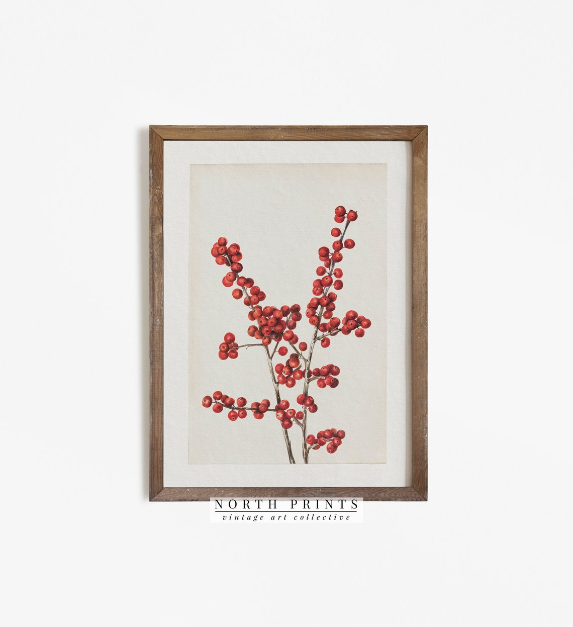Red Winter Berries Watercolor Antique Botanical Christmas Art Print