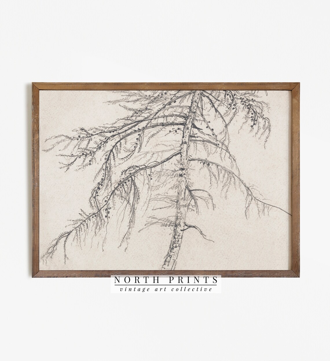 Rustic Tree Sketch, Vintage Tree Drawing - Image 3