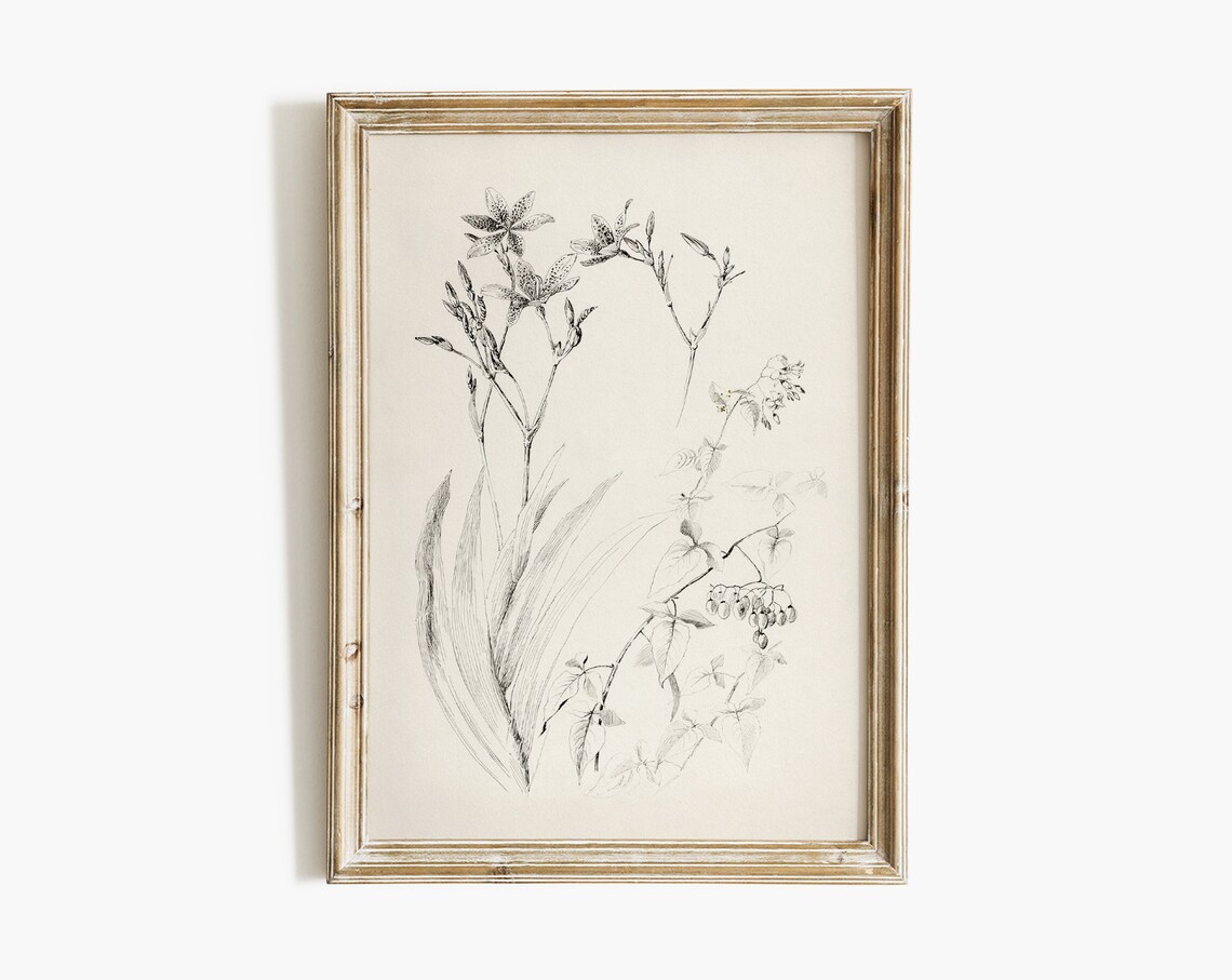 Vintage Neutral Flower Sketch Botanical Art Print - Image 2