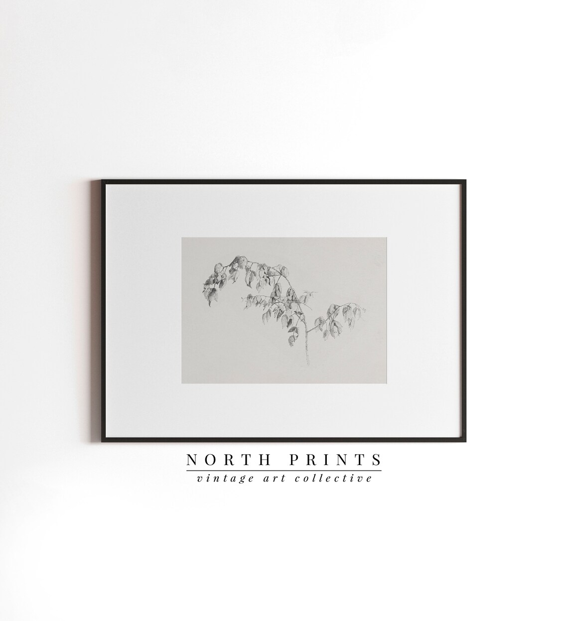 Botanical Sketch, Neutral Minimalist Vintage Drawing - Image 3