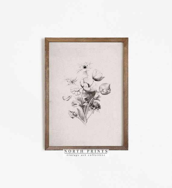 Antique Neutral Flower Sketch, Farmhouse Floral Art Print