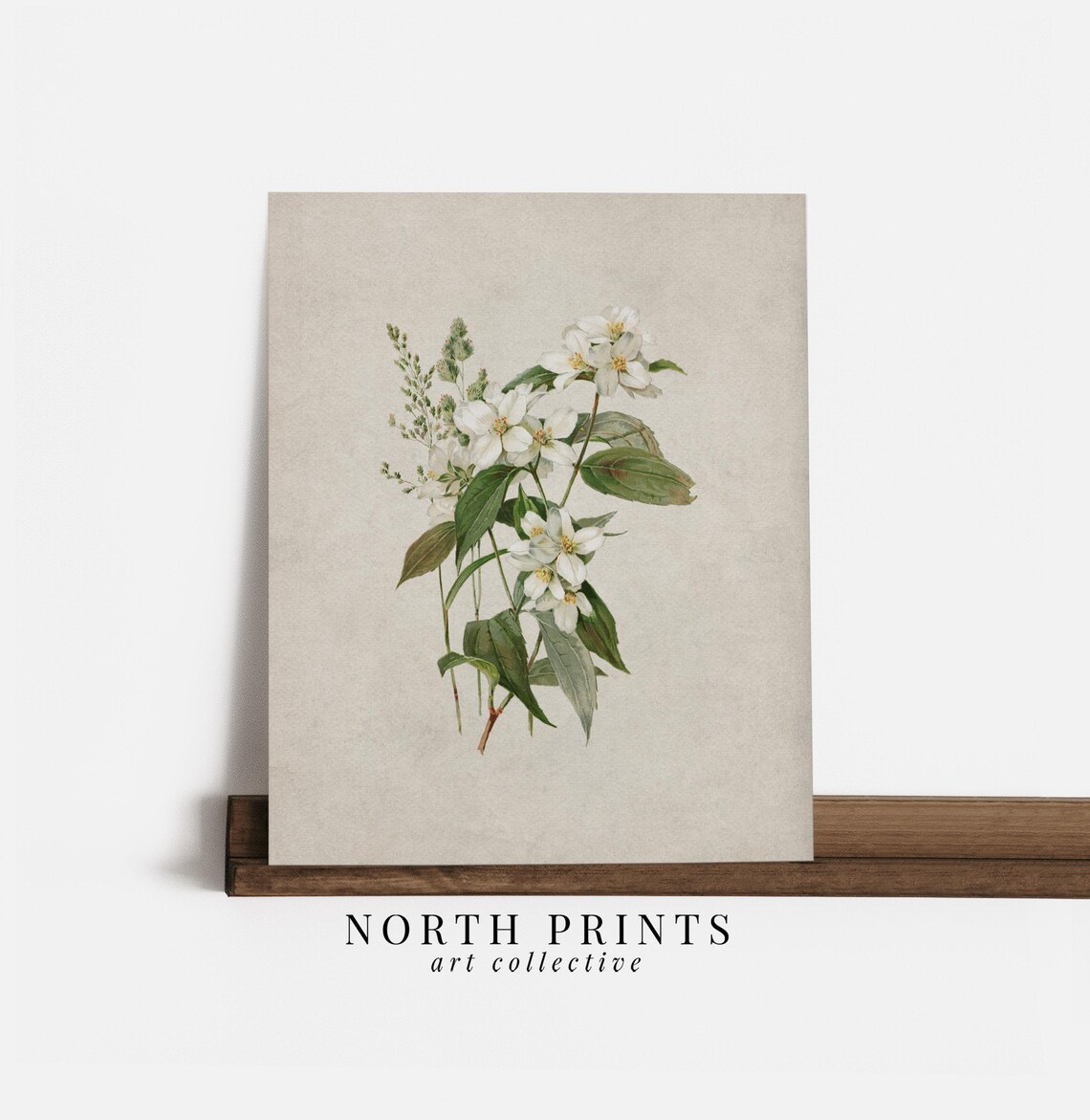 Neutral Botanical Prints, Scandinavian Farmhouse Art - Image 4