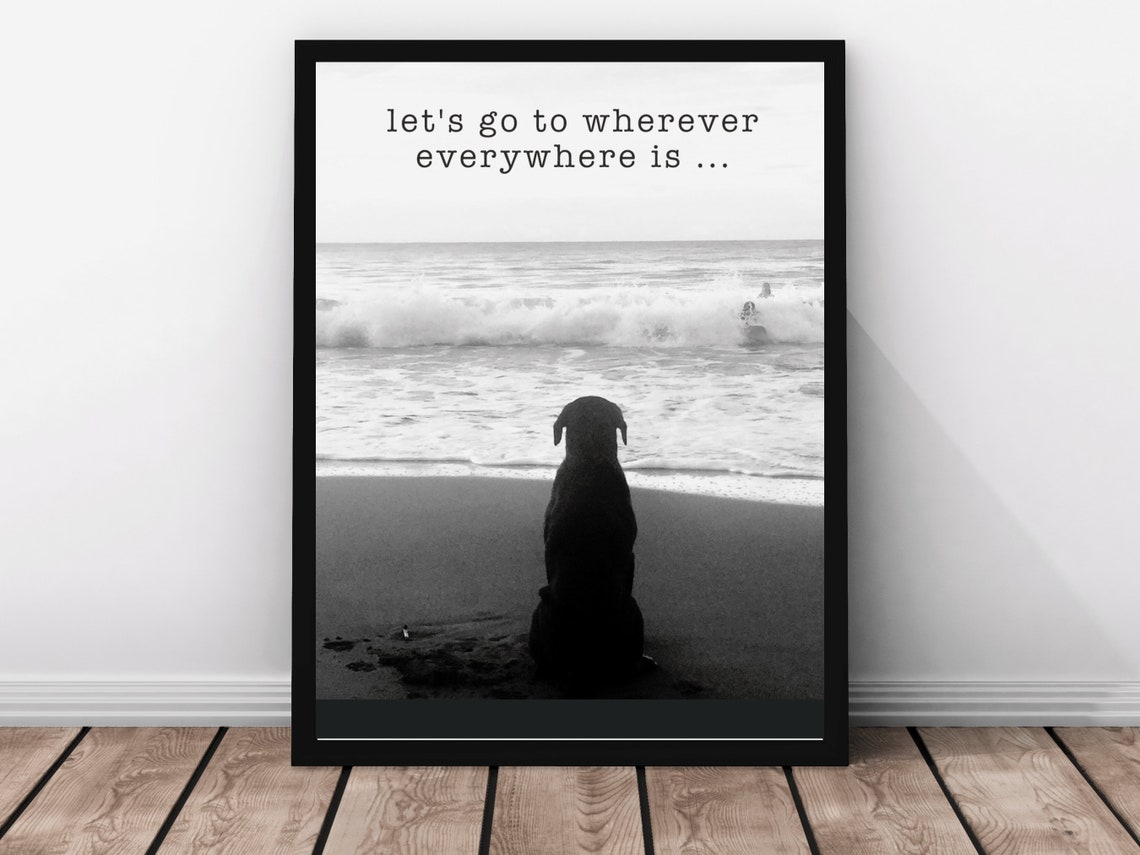 Lets Go Wherever Dog On Beach Inspired Travel Quote Print Cute Dog Photo Wall Sassy Dog Gift Love Cute Dog Photo Gift Sassy Stray