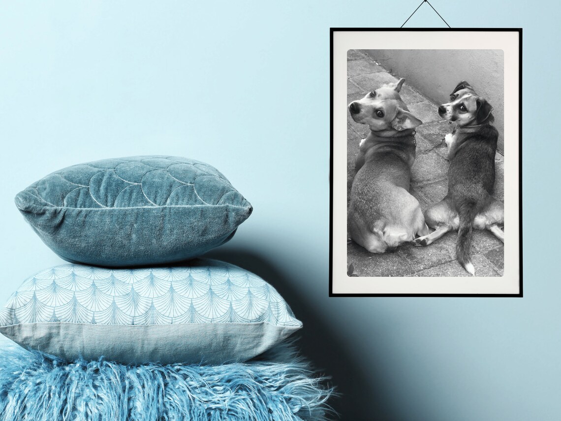 Doggy Duo Cute Dog Photo Wall Sassy Dog Gift Love Cute Dog Photo Gift Dog Mom Gift Dog Dad Art Black And White Dog Photo Sassy Stray - Image 3