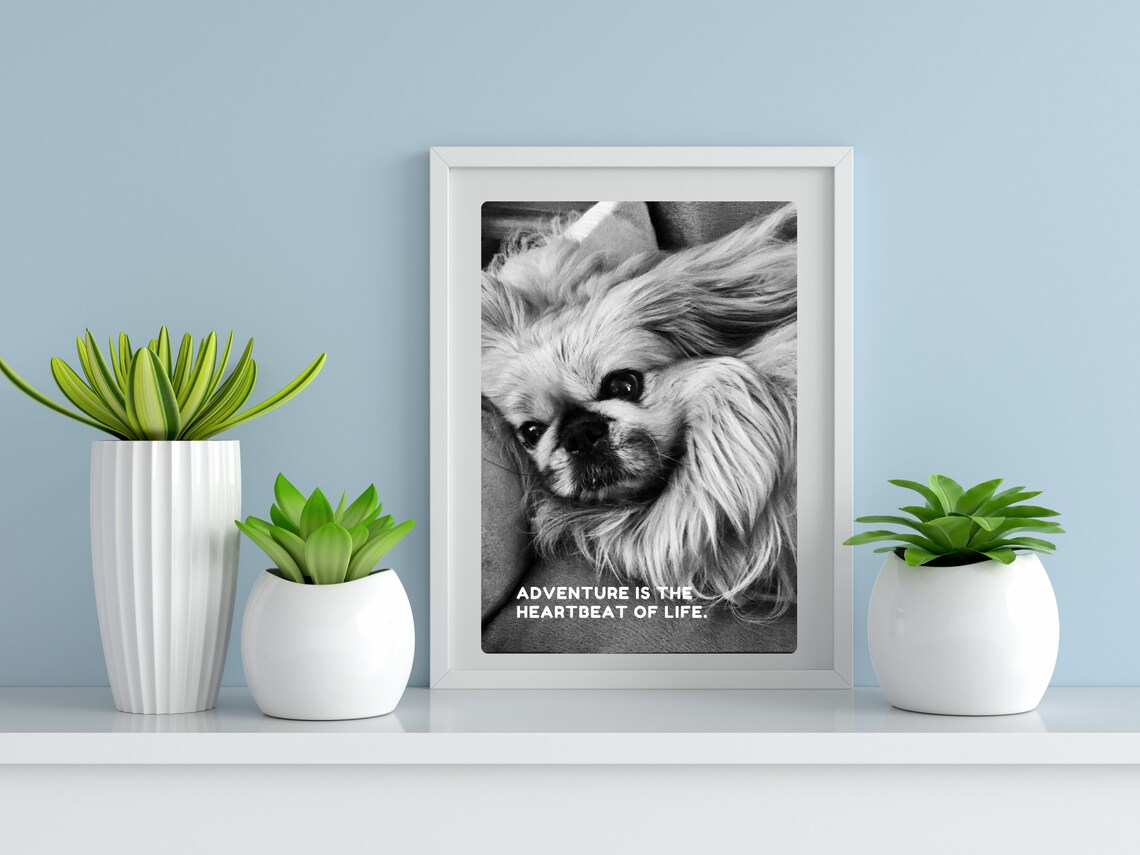 Fluffy Dog Photo Adventure Heartbeat Of Life Quote Wall Poster - Image 3