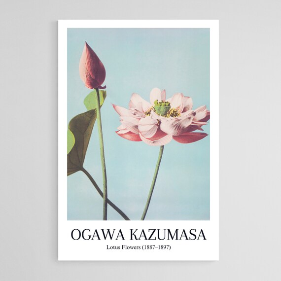Ogawa Kazumasa Lotus Flowers Vintage Japanese Pale Photo Poster