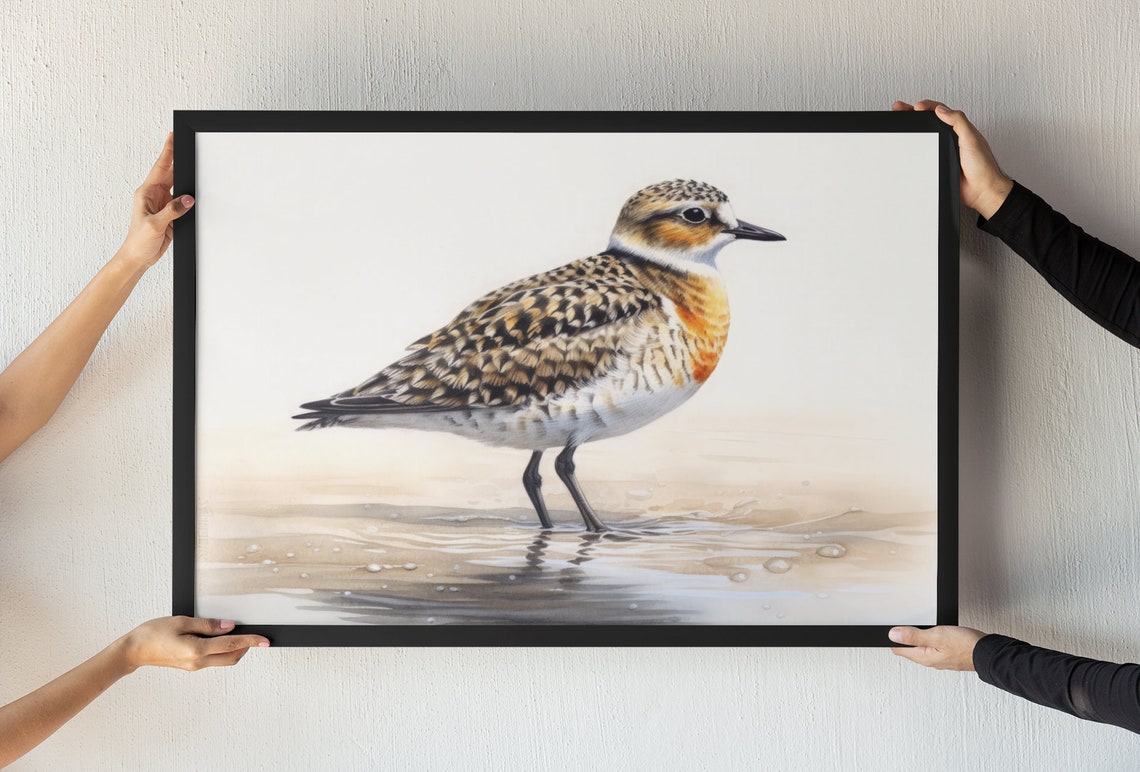 Golden Plover Shorebird Standing Watercolor Beach Bird Art Print