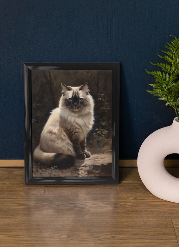 Birman Cat Seal Point Blue Eyes Dappled Light Feline Art Poster
