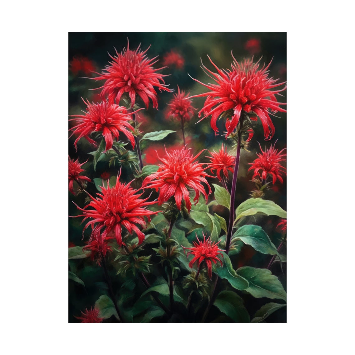 Red Bee Balm Flower Art Print Flower Painting Flower Dcor Floral Art Print Floral Wall Art Painting Floral Artwork Botanical Print - Image 4