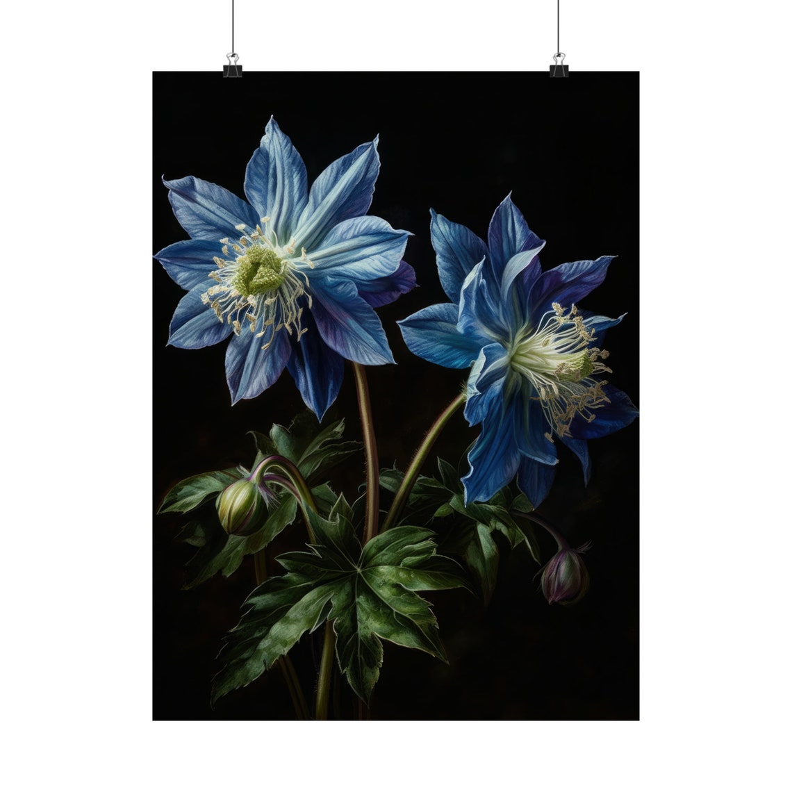 Blue Columbine Flowers Dramatic Dark Background Floral Art Print - Image 5