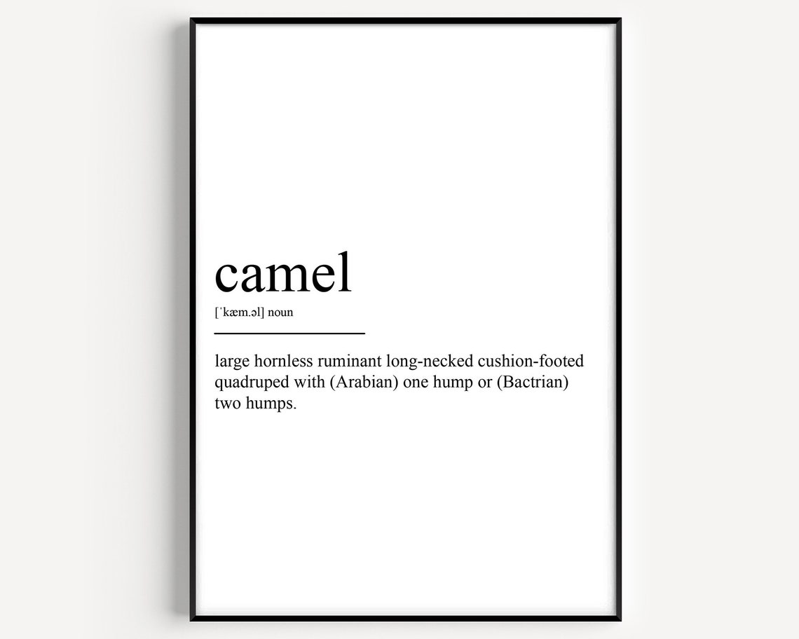 Camel Definition Art Print