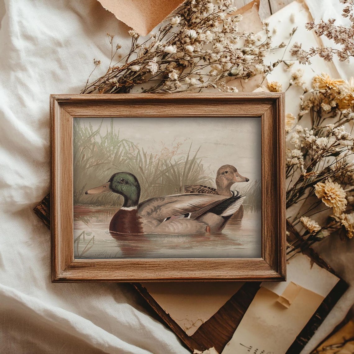 Mallard Ducks Pair Swimming Vintage Wildlife Pond Nature Art Poster - Image 4
