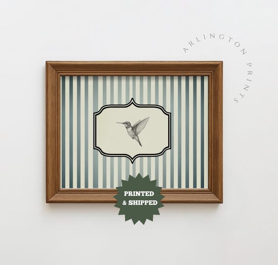 Hummingbird Vintage Art Print Blue Stripe Wall Abstract Sketch Antique Mailed Unframed 8400