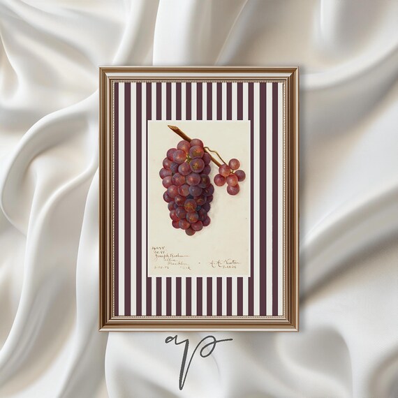 Grapes Fruit Print Country Kitchen Wall Art Modern Farmhouse Kitchen Print Purple Wall Art Vintage Minimalistic Art A5412