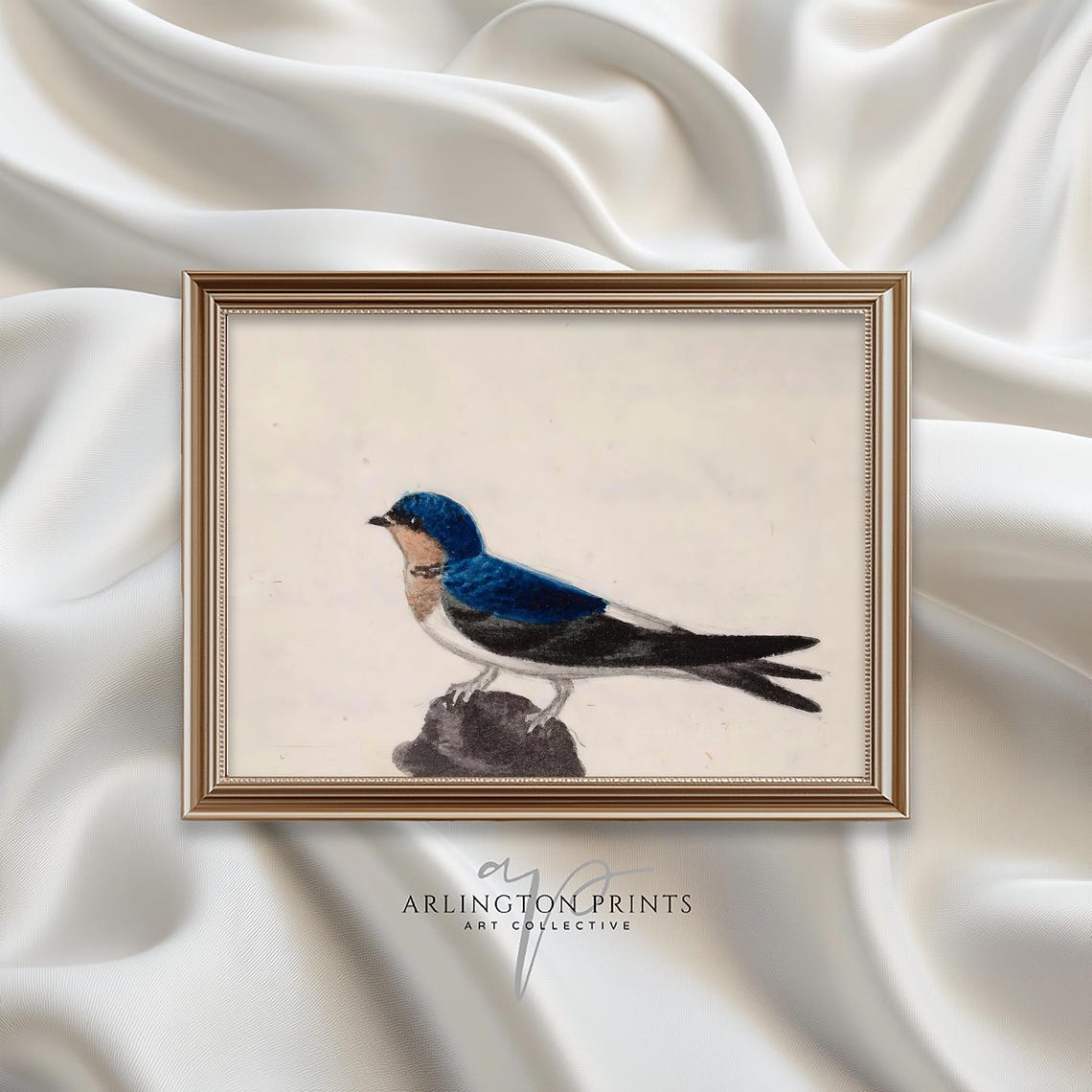 Barn Swallow Perched on Rock Blue Back Watercolor Bird Art Poster