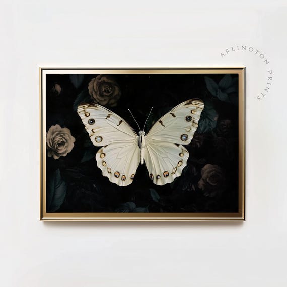 Dark Butterfly Wall Art Print Modern Farmhouse Home Decor Cottagecore Antique Insect Print Dark Academia Moody Wall Art Ca05