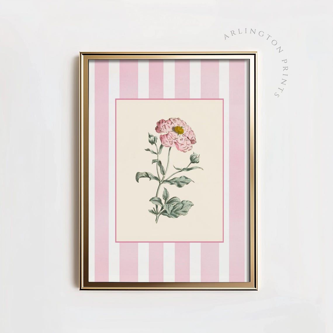 Pink Striped Botanical Floral Art Grandmillennial Garden Poster