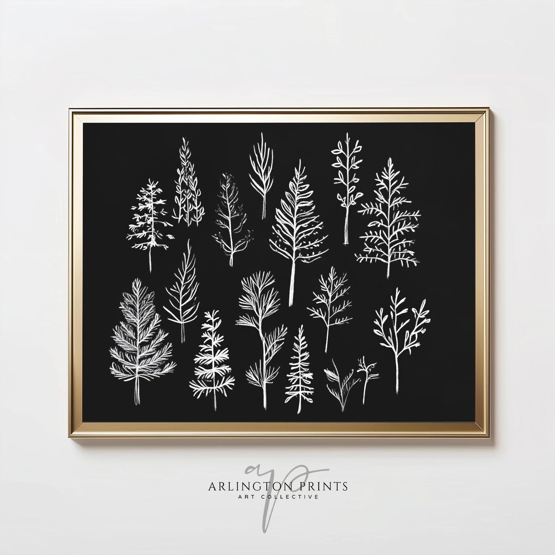 White Chalk Pine Trees Black Background Winter Botanical Poster
