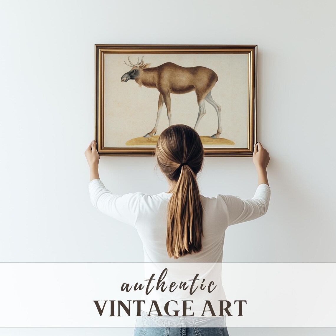 Vintage Elk Natural History Illustration Antique Animal Art Poster - Image 3