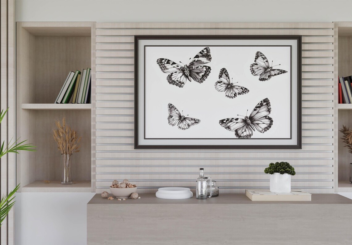 Five Monochrome Butterflies in a Vintage Natural History Sketch Poster - Image 4