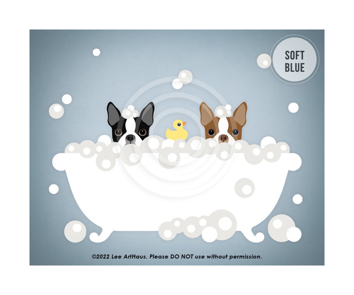 Two Boston Terriers Peeking Bubble Bath Duck Teal Bathroom Dog Poster - Image 2
