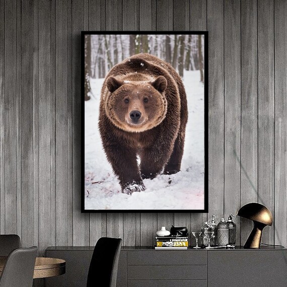 Brown Bear Walking Toward Camera In Snowy Forest Wildlife Wall Art Poster