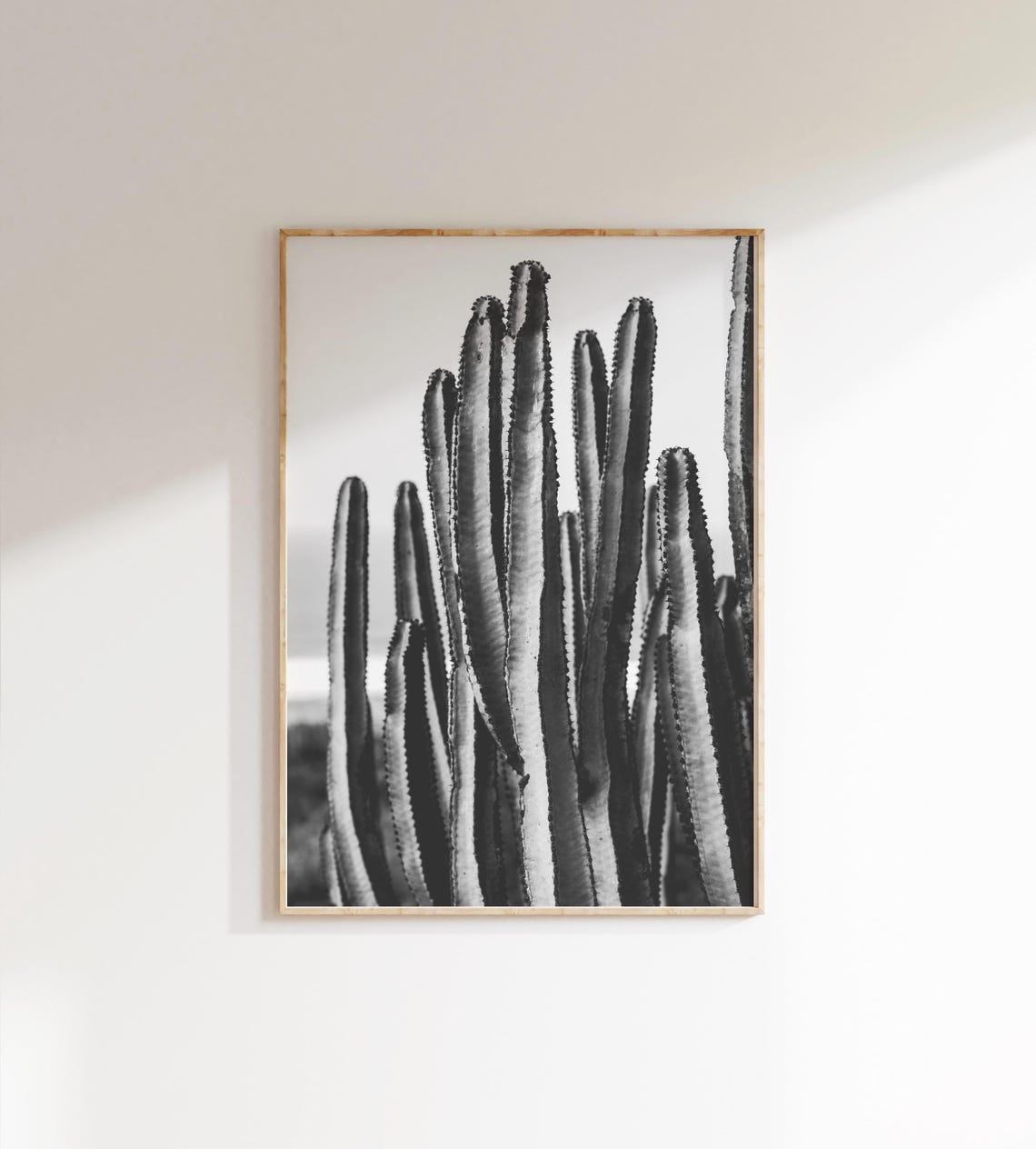 Black and White Tall Cactus Photography Minimalist Desert Poster