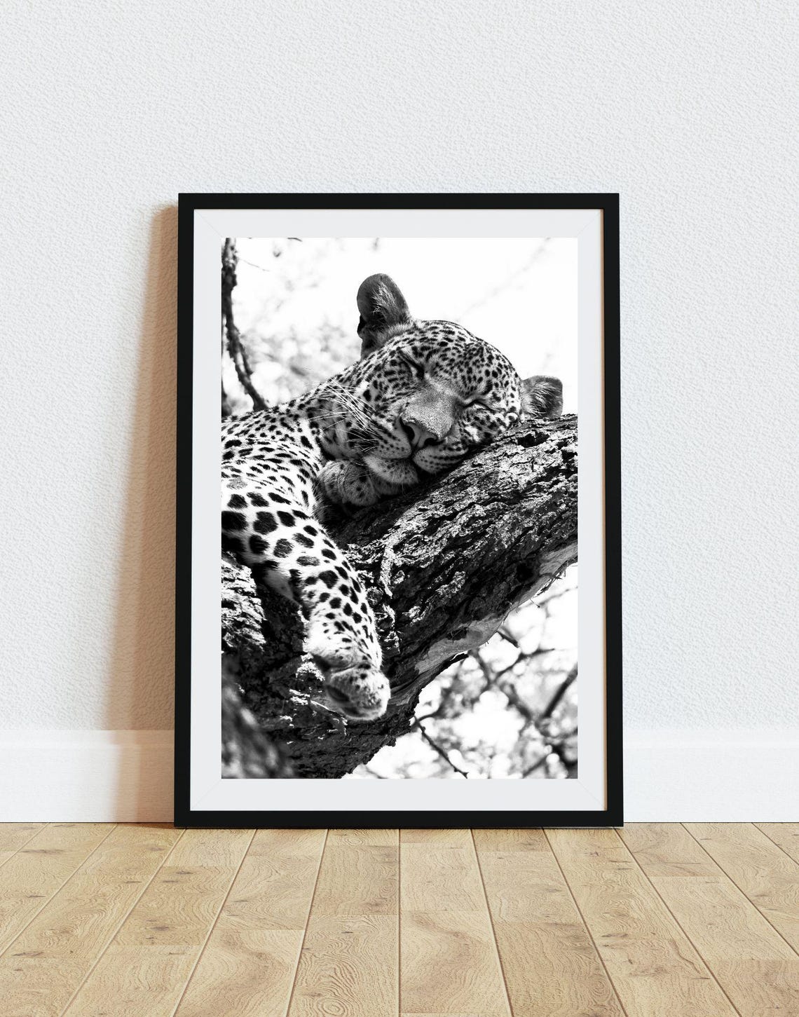 Sleeping Leopard Tree Branch Black And White Wildlife Photo Poster