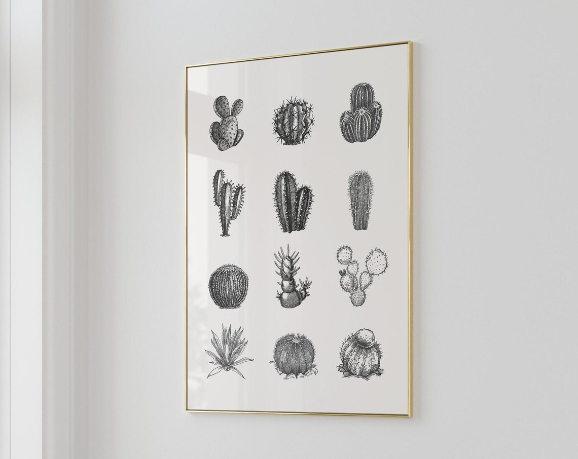 Cactus Species Vintage Botanical Illustration Grid Desert Poster - Image 3