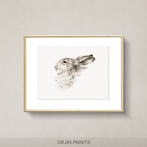 Wild Hare Side Profile Monochrome Pencil Sketch Animal Wall Art