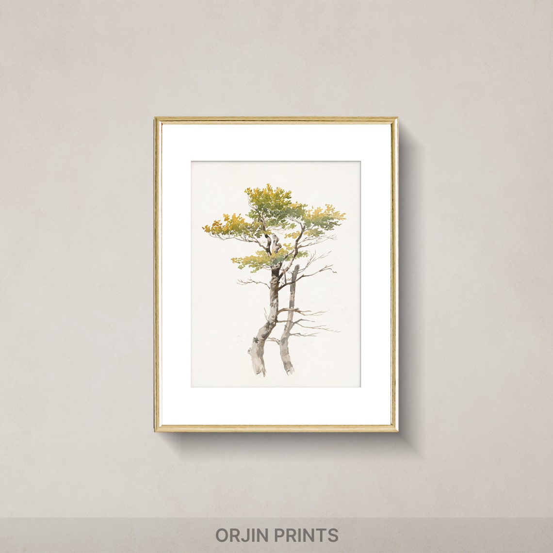 Minimalist Birch Tree Watercolor Sparse Golden Leaves Modern Art Print