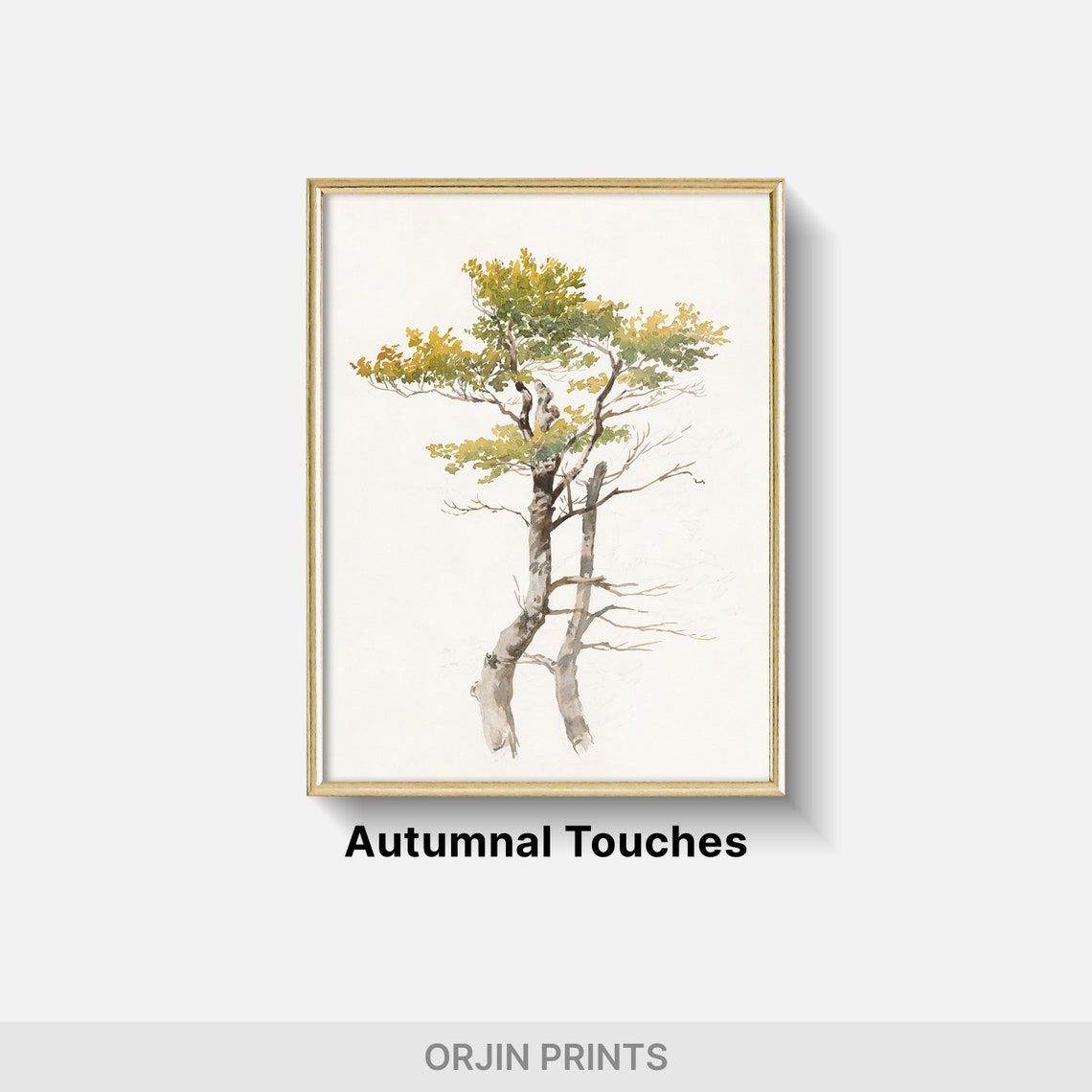 Minimalist Birch Tree Watercolor Sparse Golden Leaves Modern Art Print - Image 2