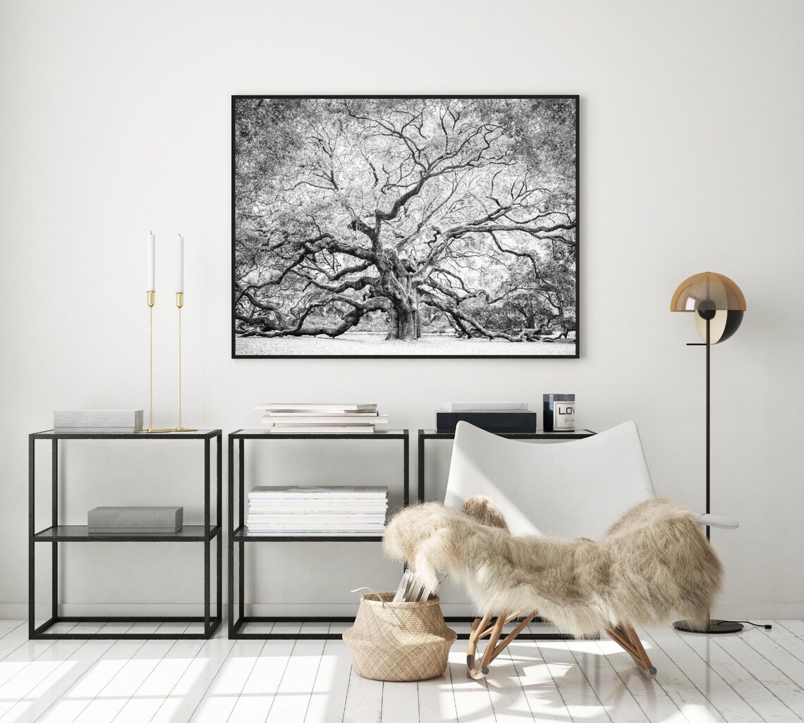 Angel Oak Charleston Black And White Giant Live Oak Tree Photo Poster