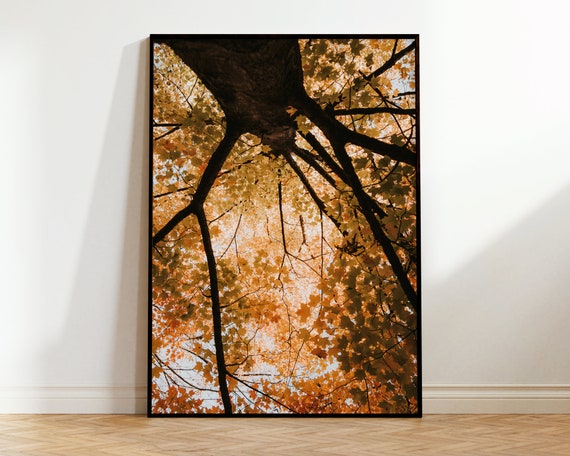 Halloween Print Autumn Photography Fall Tree Leaves Cottage Cabin Decor Nature Art Forest Wall Botanical Poster Livingroom
