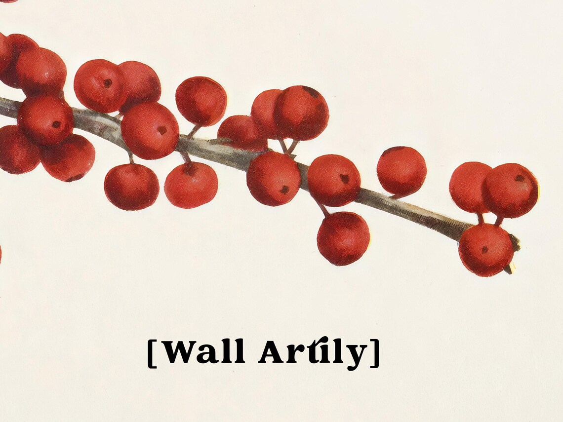 Red Winter Berry Branch Botanical Watercolor Holiday Art Poster - Image 6