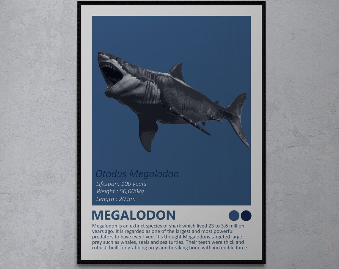 Megalodon Shark Fact Sheet Art Print, Nautical Theme
